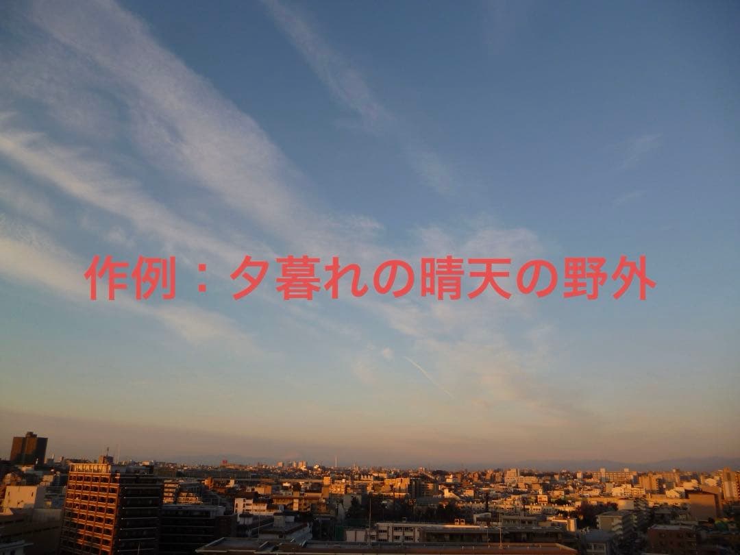 美品【動作確認済】Panasonic パナソニック LUMIX DMC-S2