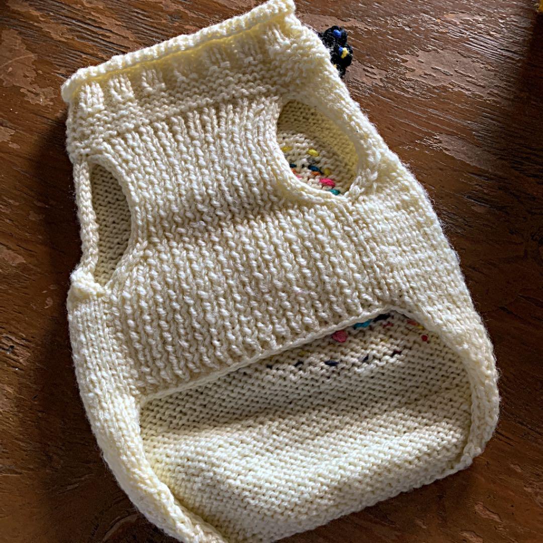 専用❣️わんちゃん〜ニットお洋服♪顔刺繍に肉球チャーム付き❤