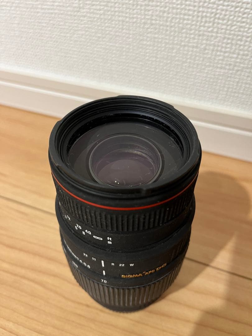 SIGMA APO 70-300 F4-5.6 DG MACRO フルサイズ対応