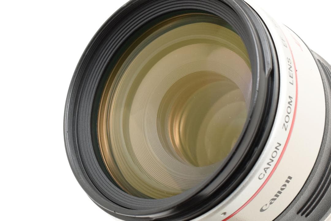 Canon キャノン EF100-400mm Ｆ4.5-5.6L IS USM