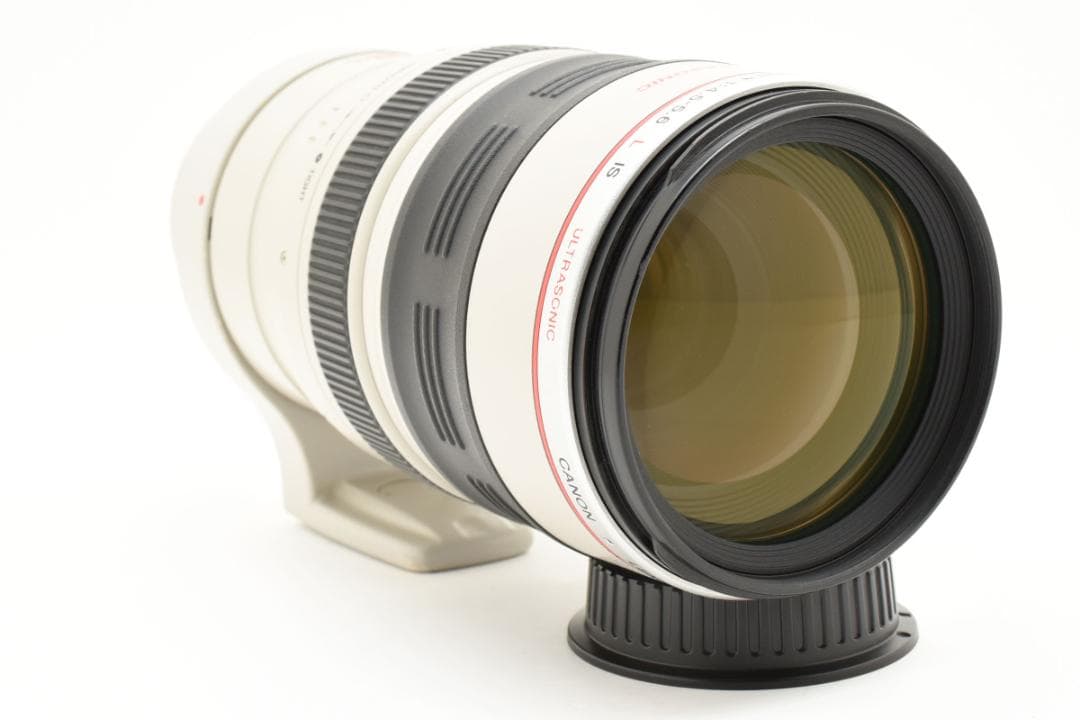 Canon キャノン EF100-400mm Ｆ4.5-5.6L IS USM