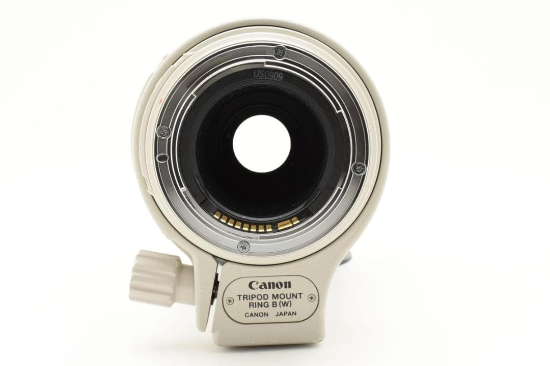 Canon キャノン EF100-400mm Ｆ4.5-5.6L IS USM