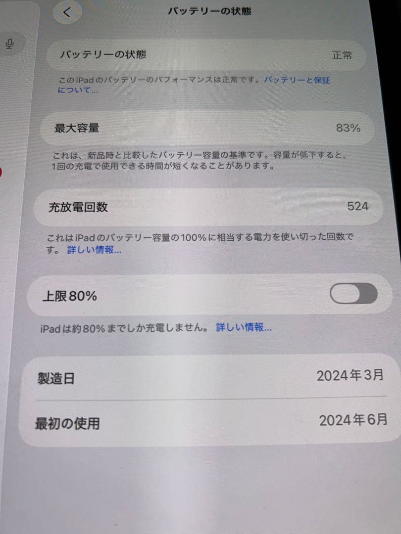 11インチ iPad Pro (M4) スペースグレー WiFiモデル