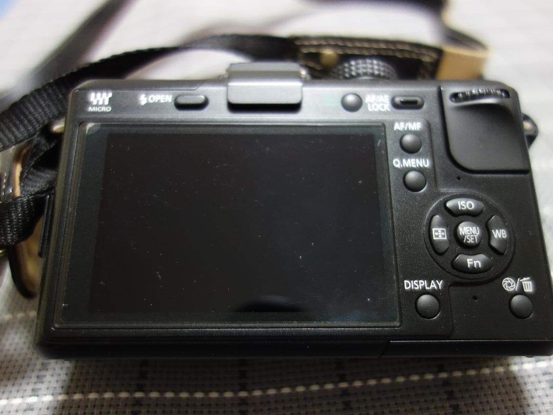 【超美品】panasonic DMC-GF1