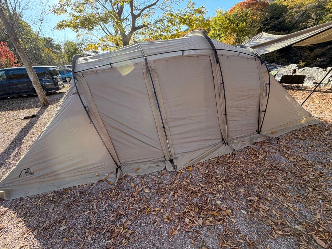 ★12/31発送までお値下げ★サバティカル　アルニカ　すぐ使える　ツールーム