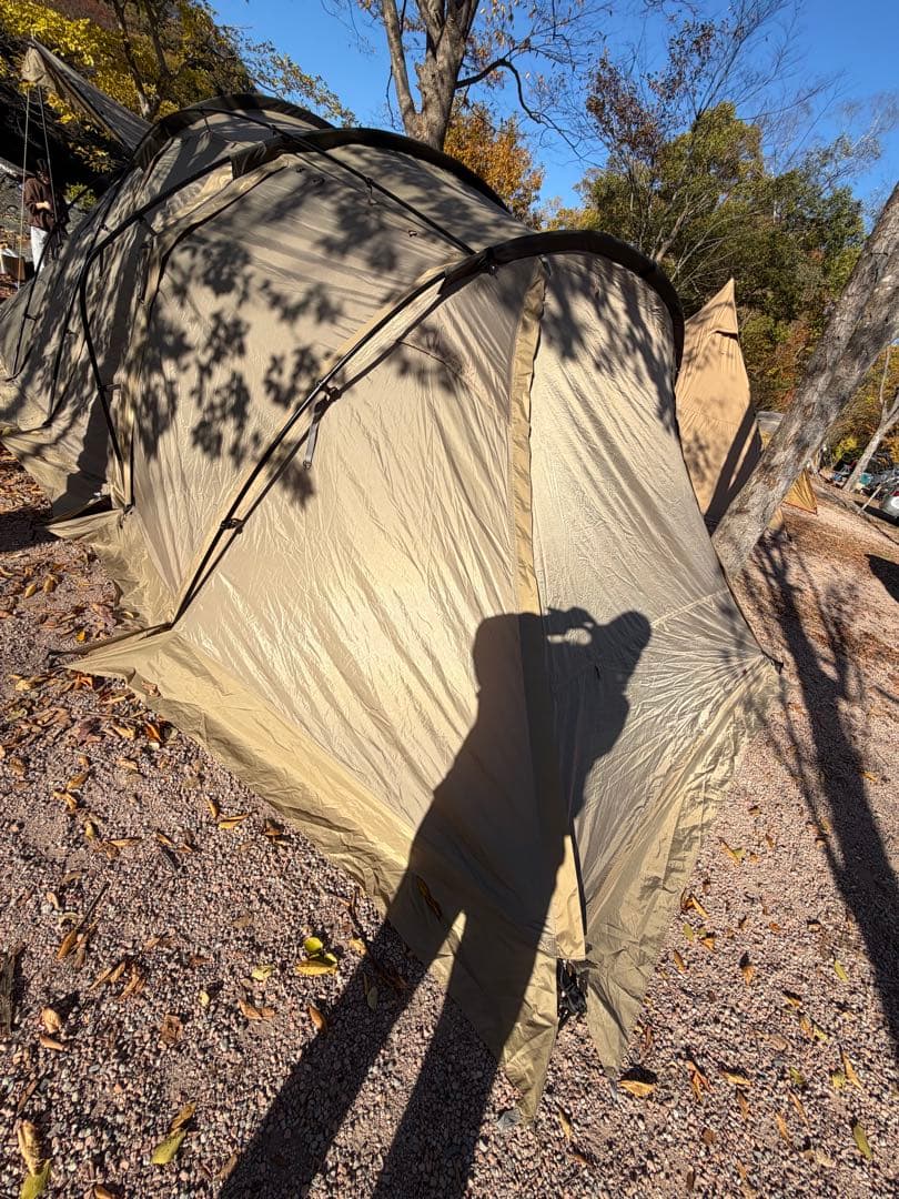 ★12/31発送までお値下げ★サバティカル　アルニカ　すぐ使える　ツールーム