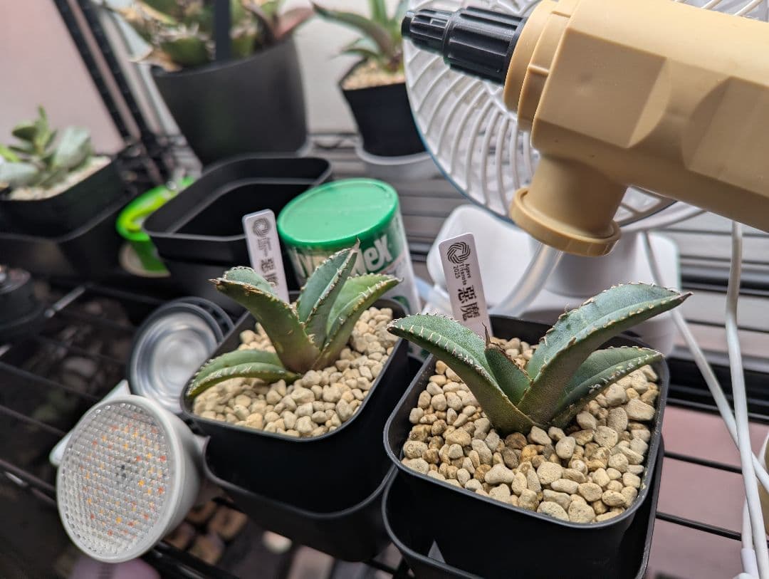 専用です ライトやサーキュレーター等園芸色々セット 13000→11700