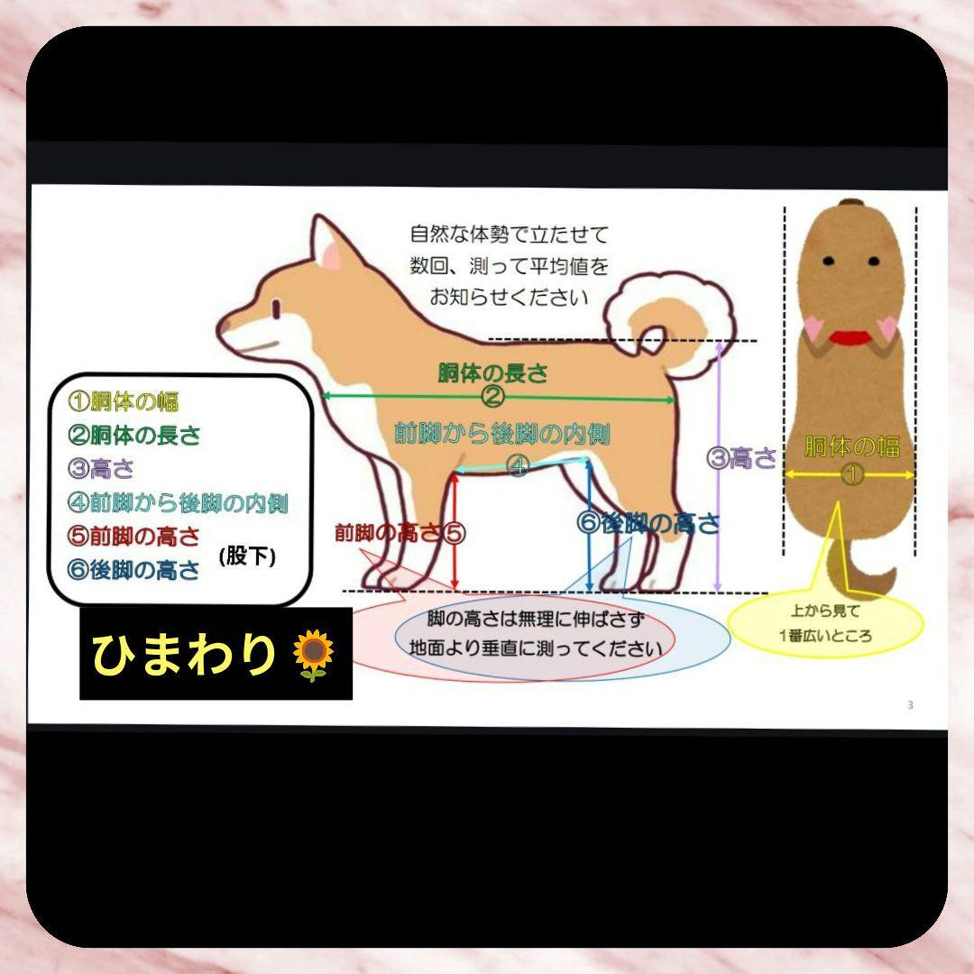 けぶ　ミックス犬4輪　リハビリ　食事補助　犬用車椅子　介護用　犬の歩行器