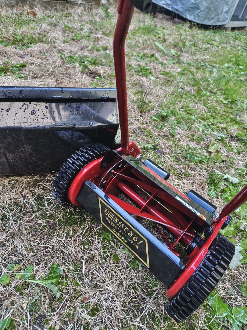 キンボシ ハッピーバーディーモア ゴールデンスター