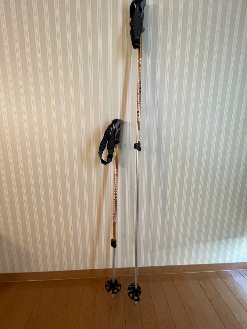  スキー用ポール ゴールド