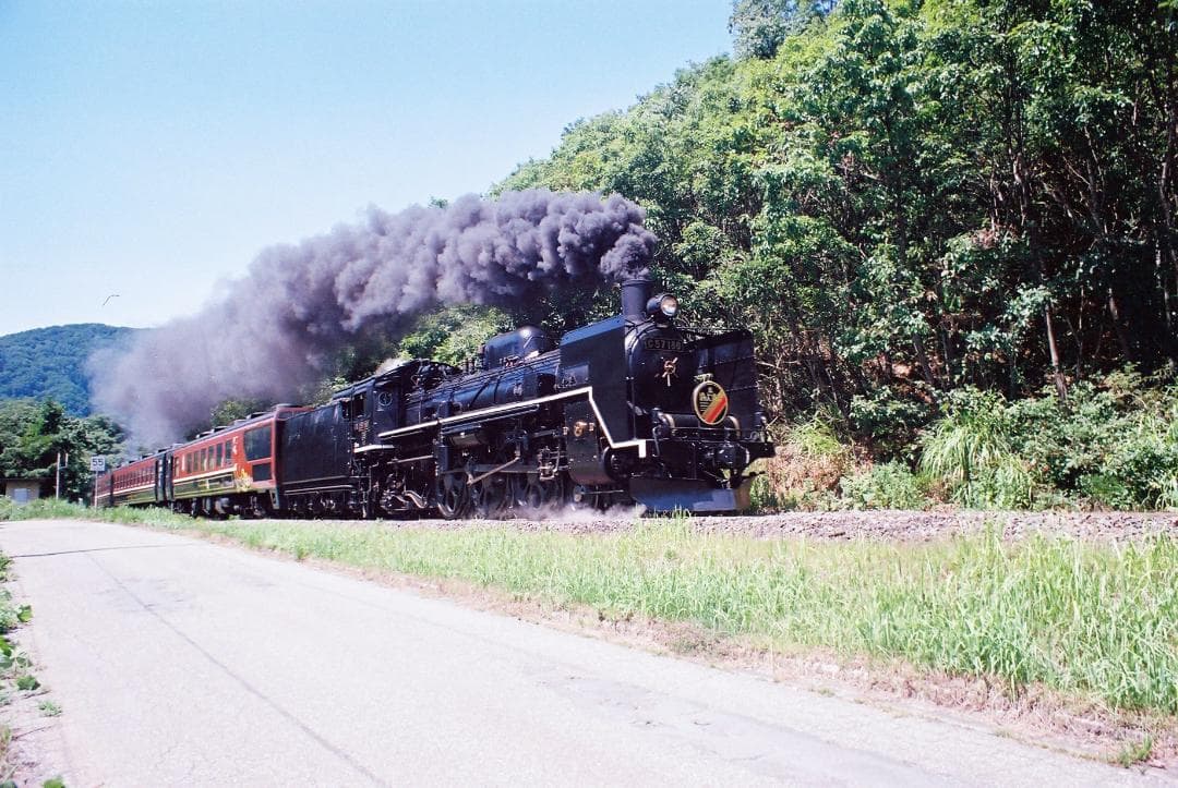 【実写確認整ペトリV6Ⅱ／Petri55mmf1.8メタルフード付