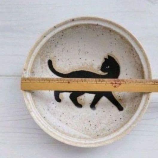 新品2点セット　美濃焼　ねこまるけ　フリムク猫ちゃん　13cm 鉢　ねこ　ネコ