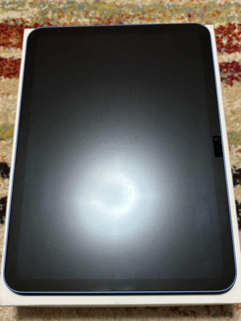 美品 iPad 第10世代 10.9インチ Wi-Fi 64GB ブルー ペン