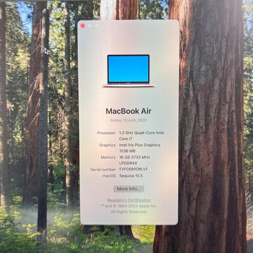 MacBook Air 2020 13 ローズゴールド 16G 512G i7