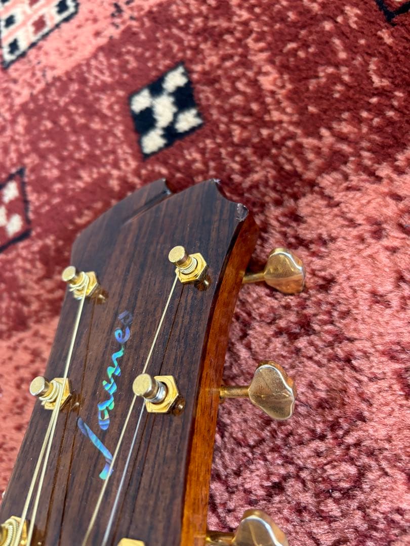 JAMES JD900 NA オール単板ギター