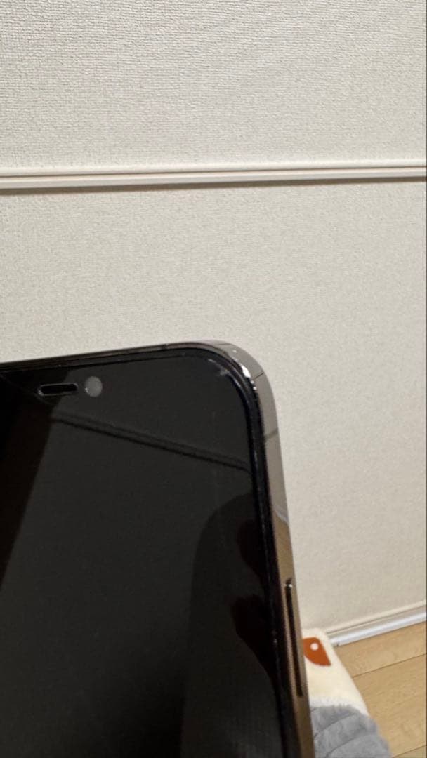 【ジャンク品】Apple iPhone 12 Pro ケース付き