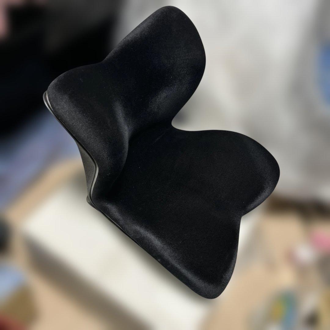 Style PREMIUM DX スタイルプレミアムデラックス