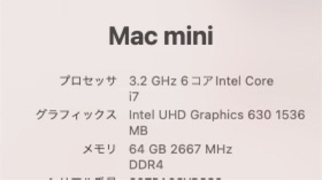 Macデスクトップ Mac mini 64GB 1TB