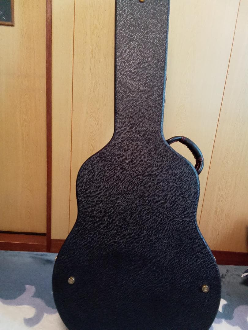 値引き❗美品‼️Breedlove Breedlove　 ハードケース