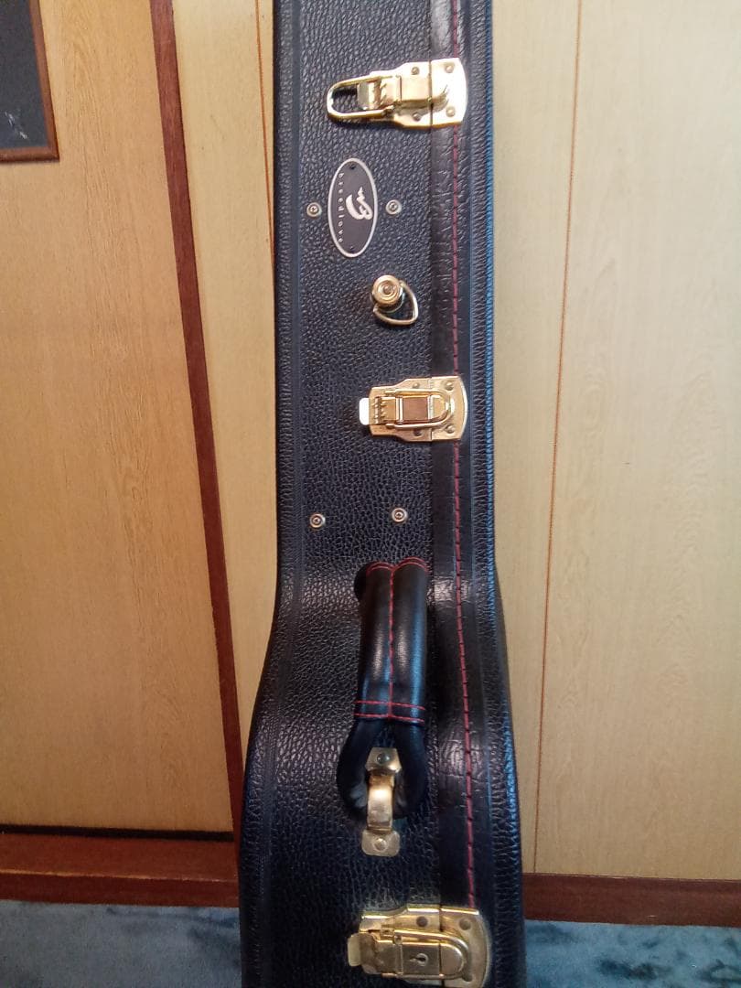 値引き❗美品‼️Breedlove Breedlove　 ハードケース