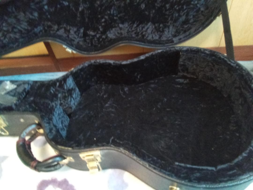 値引き❗美品‼️Breedlove Breedlove　 ハードケース