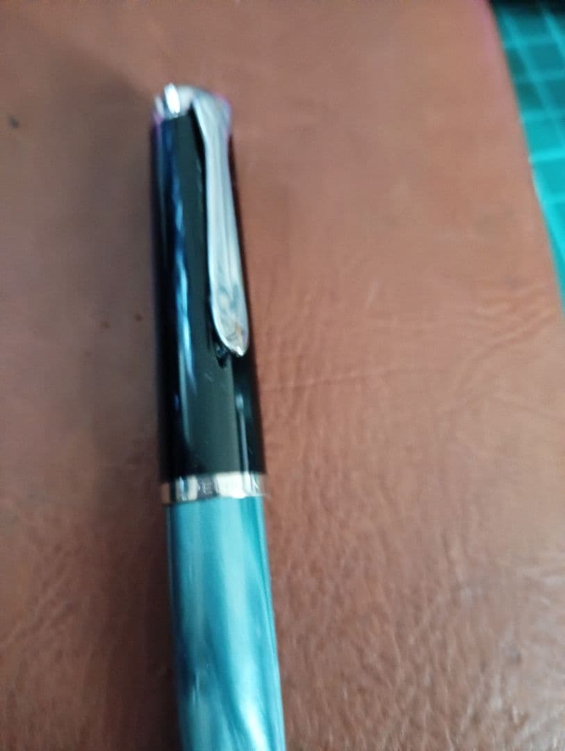 ペリカン　鉄ペン　吸引式　EF ヒナ２羽