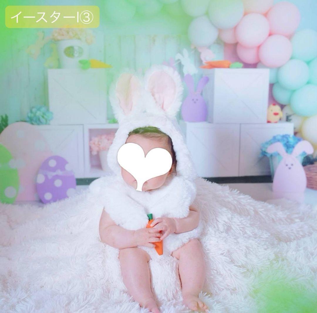 背景布×5+1　ペット撮影用フォトブース　トリミングチョーカー販売中　薔薇　梅雨