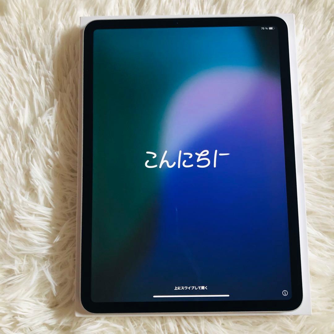 【7/13販売終了】iPad Pro 11 第2世代 128GB 【すぐ発送】