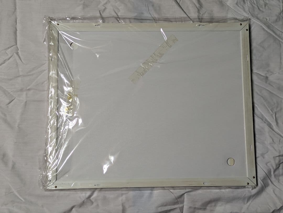 ファレノプシス　武豊　秋華賞　競走馬　写真　パネル　額縁入り　スポーツ新聞付き