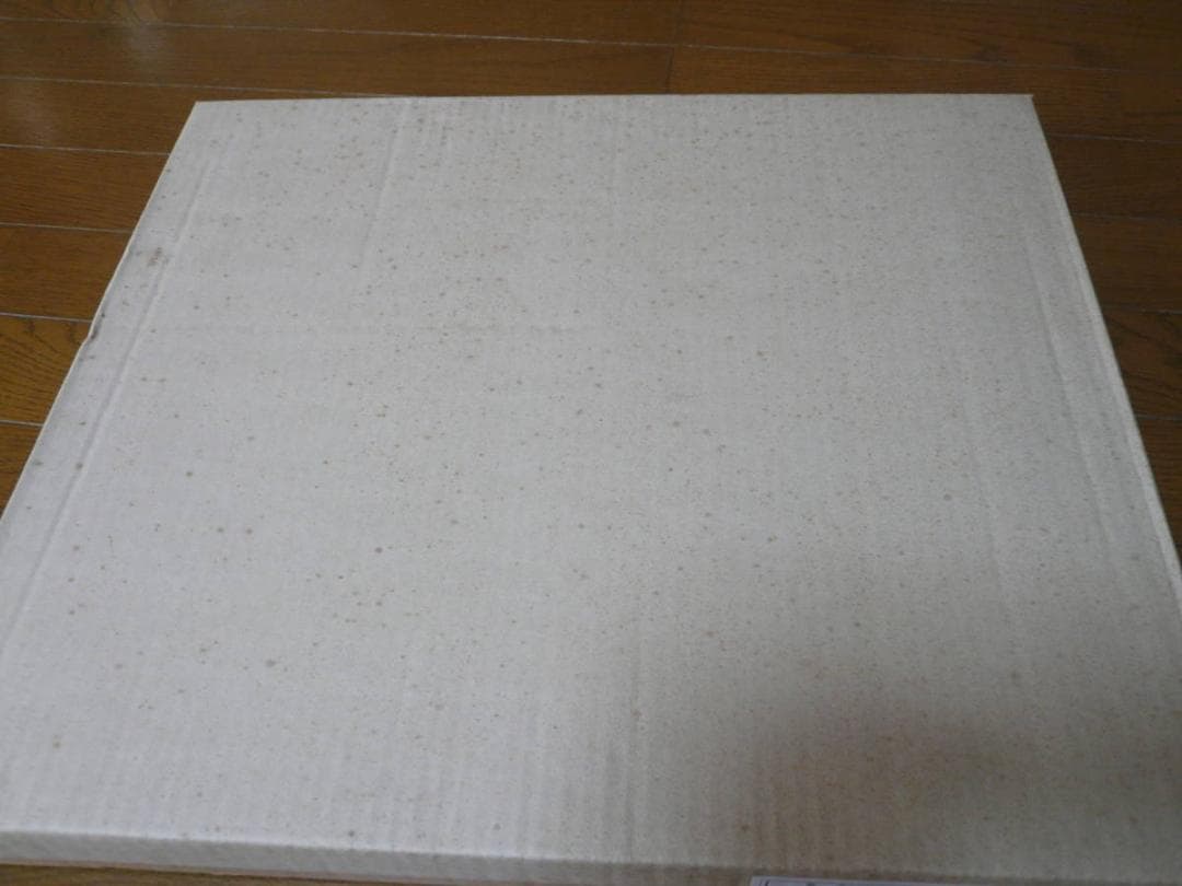 M・シューマッハ 2006JapanGP サイン入りフォト