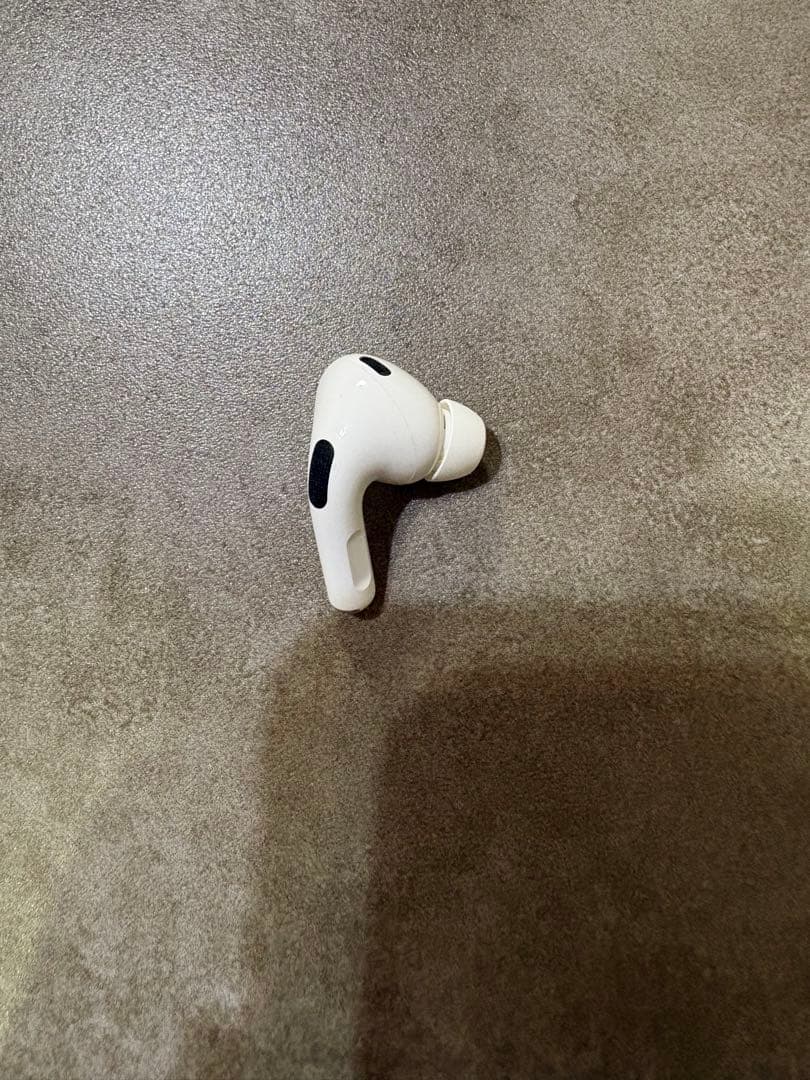 た*こ様 Apple AirPodsPro2 Type-Cケース おまけ付き 初