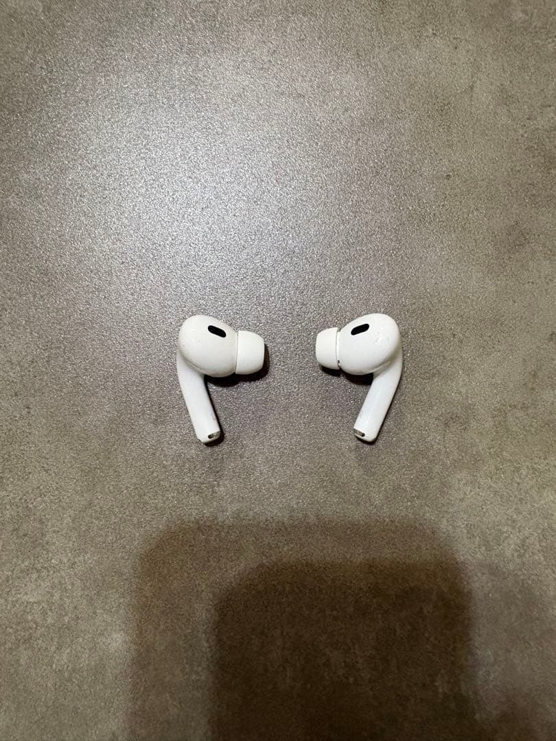 た*こ様 Apple AirPodsPro2 Type-Cケース おまけ付き 初