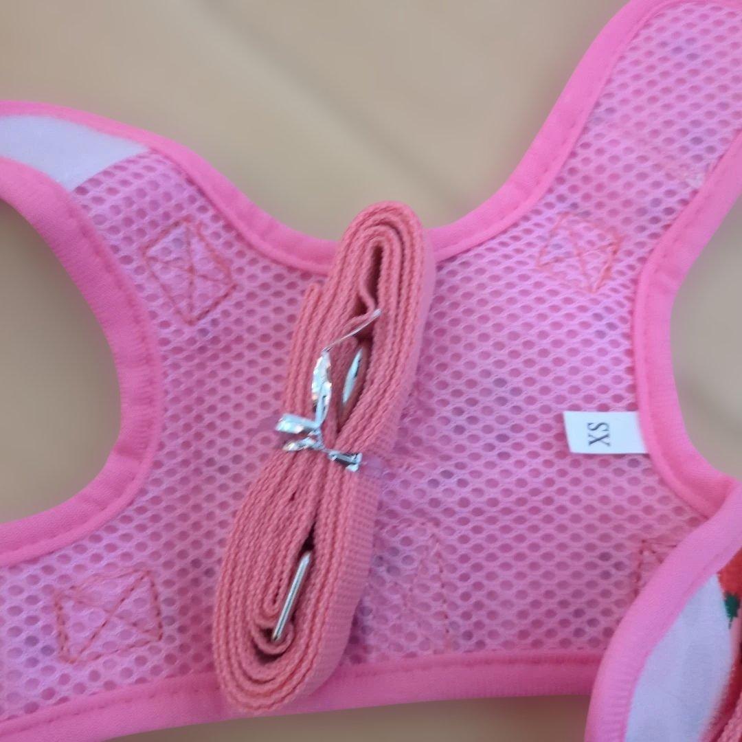 ハーネスとニット犬服猫用セット XS