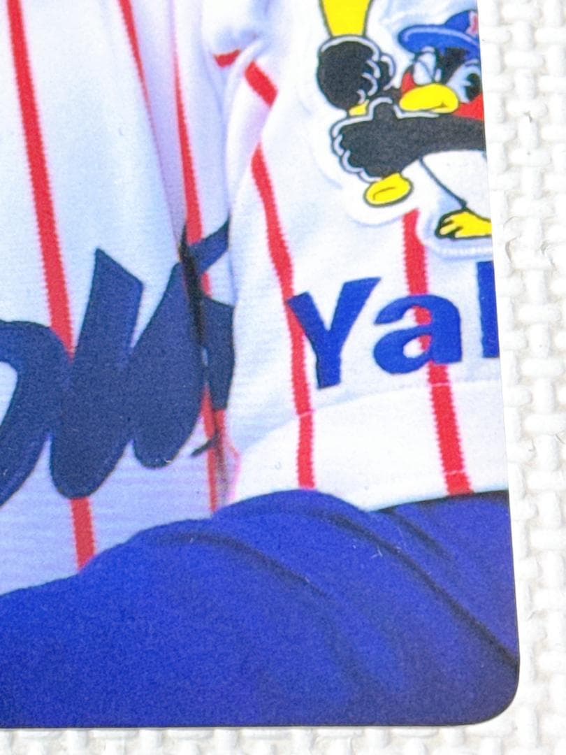 ★ヤクルト 73 野村克也 1998年 勇退記念 サイン入り下敷き 最終戦配布