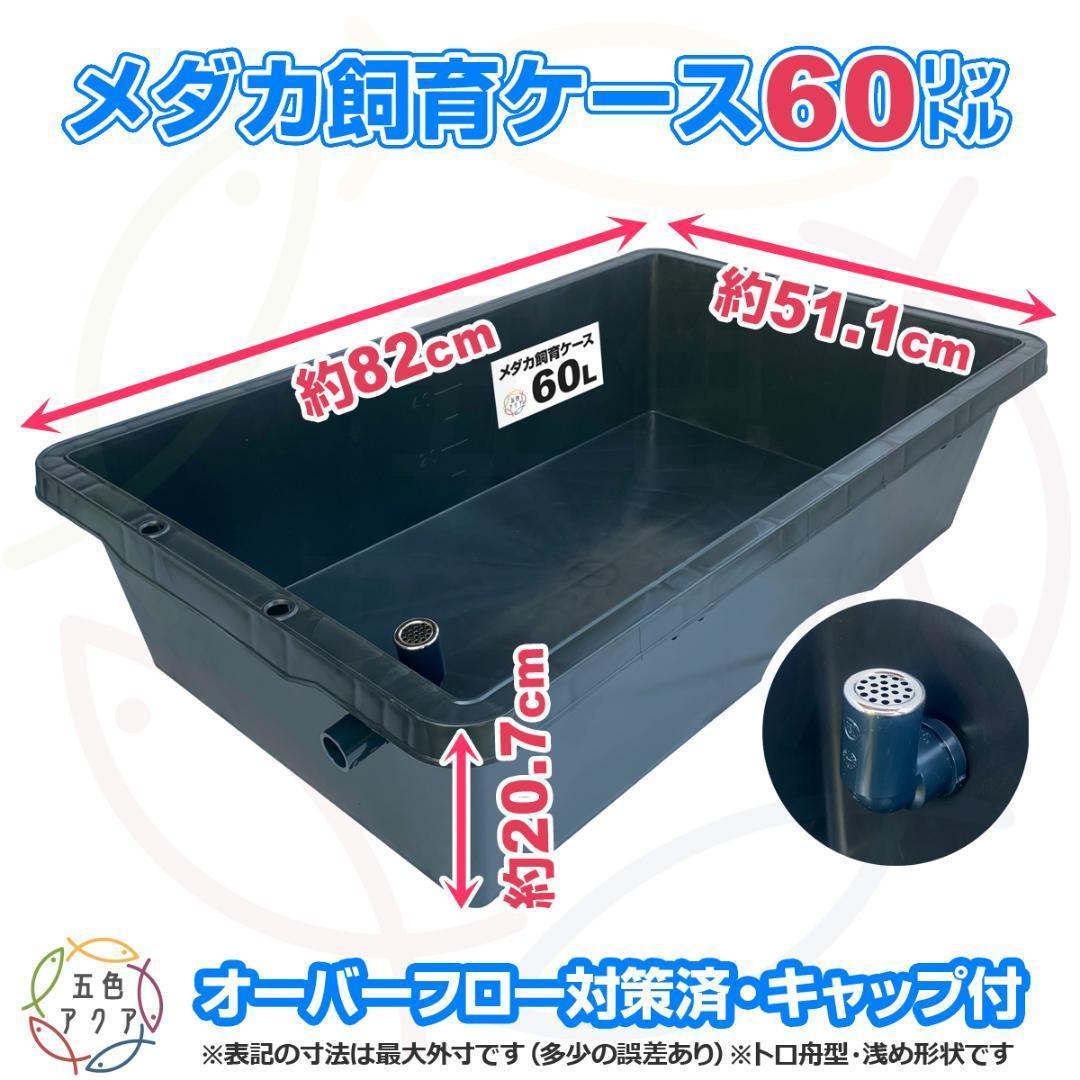 メダカ飼育ケース 60㍑トロ舟x5個 オーバーフロー 金魚飼育容 メダカ飼育容器