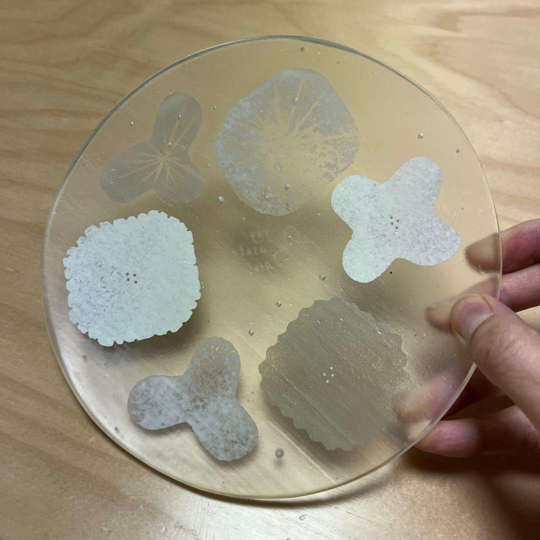 八木麻子さん　ガラスのプレート