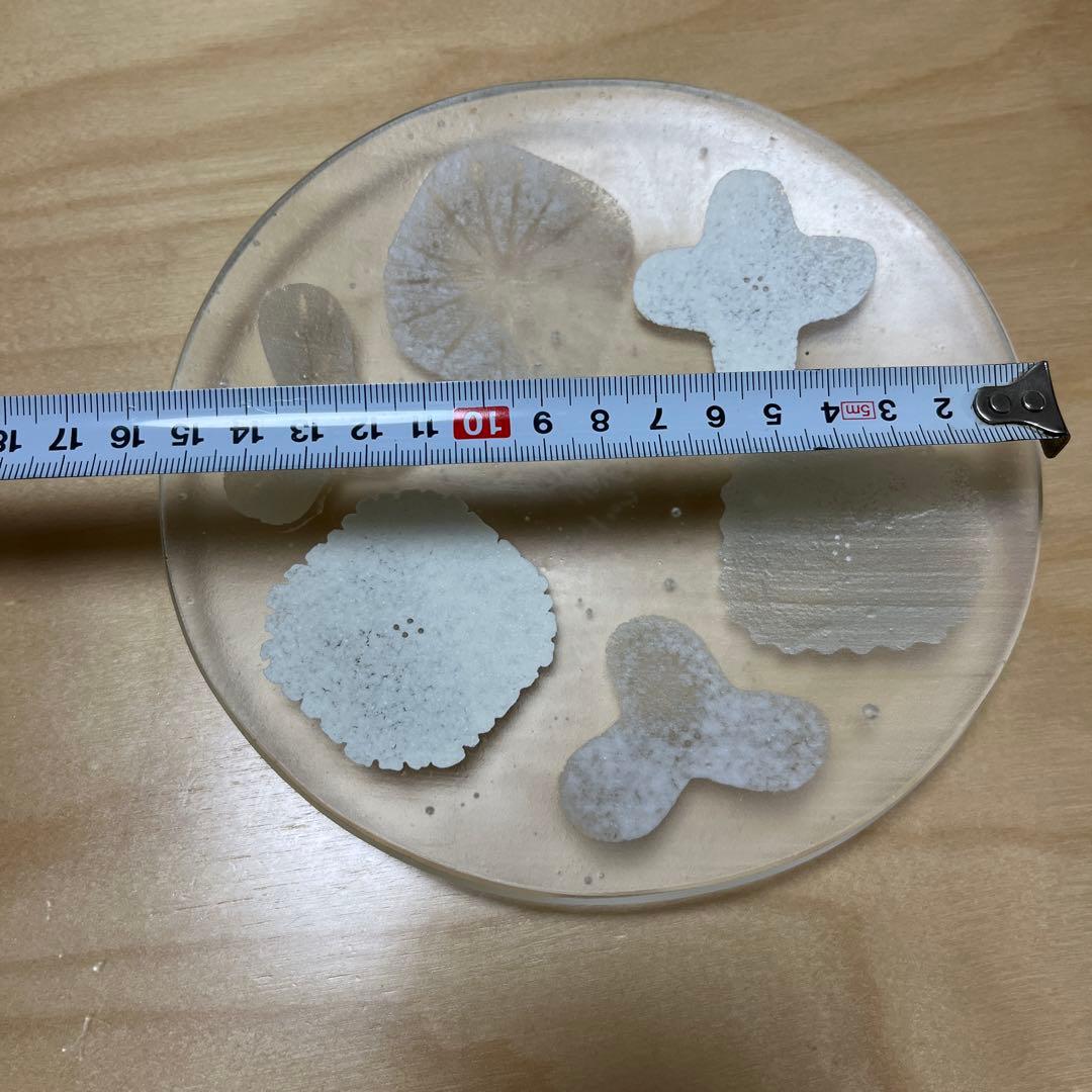 八木麻子さん　ガラスのプレート