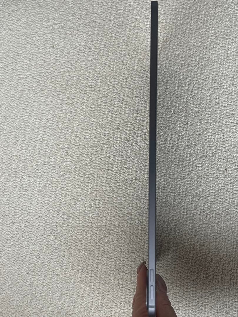 11インチiPad Pro M4 256GB Wi-Fi AppleCare加入