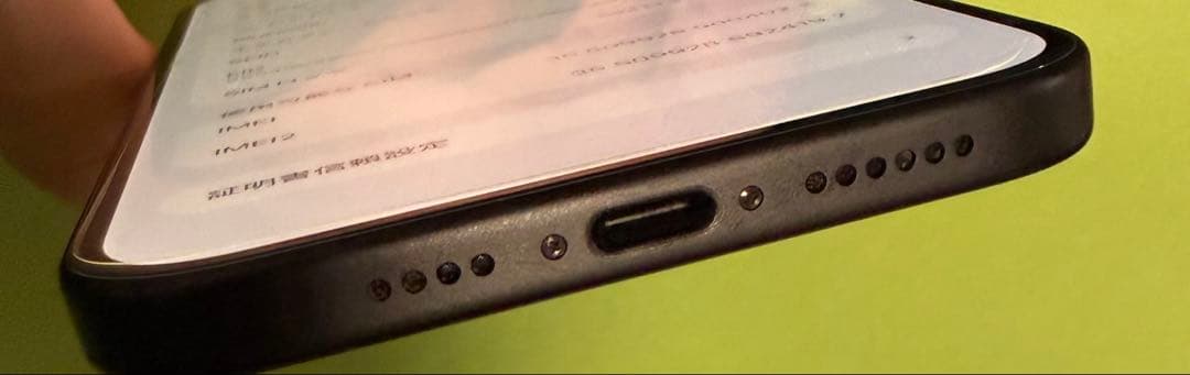 辰*巳様 Apple iPhone 15 Plus 256GB 外カメラ使用でき