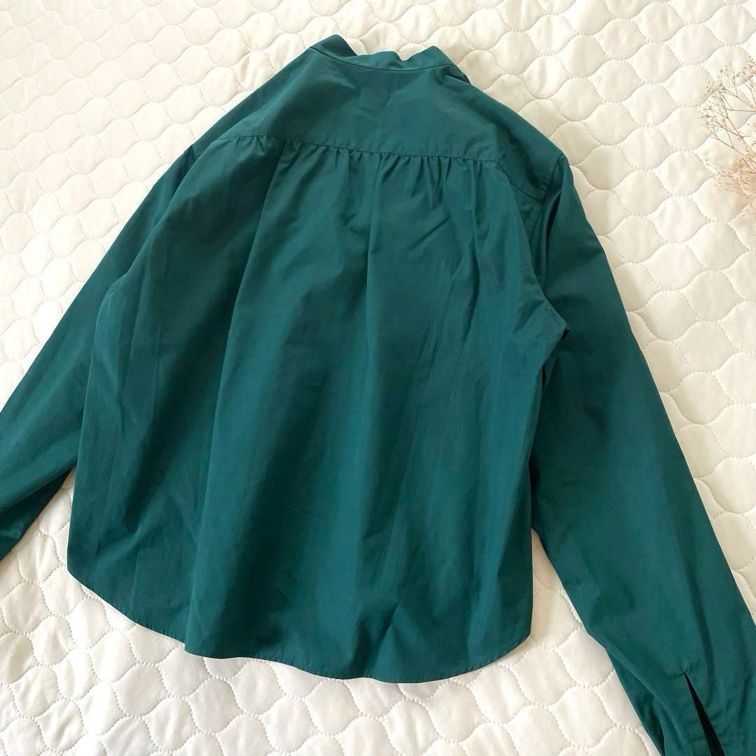 【極美品】定価7.3万✴︎ブリエンヌパリディス コットンフリルカラーブラウス