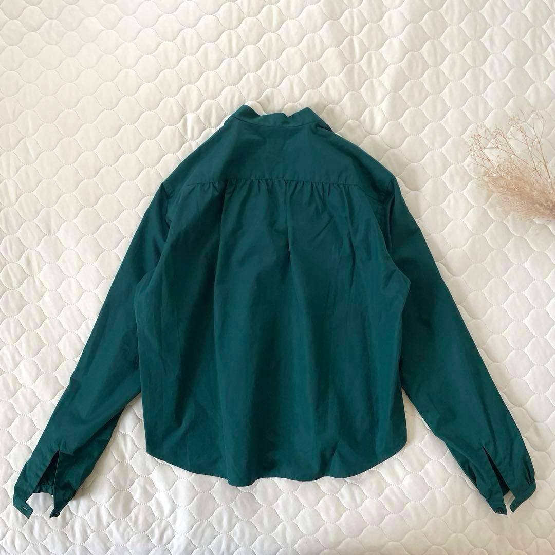 【極美品】定価7.3万✴︎ブリエンヌパリディス コットンフリルカラーブラウス