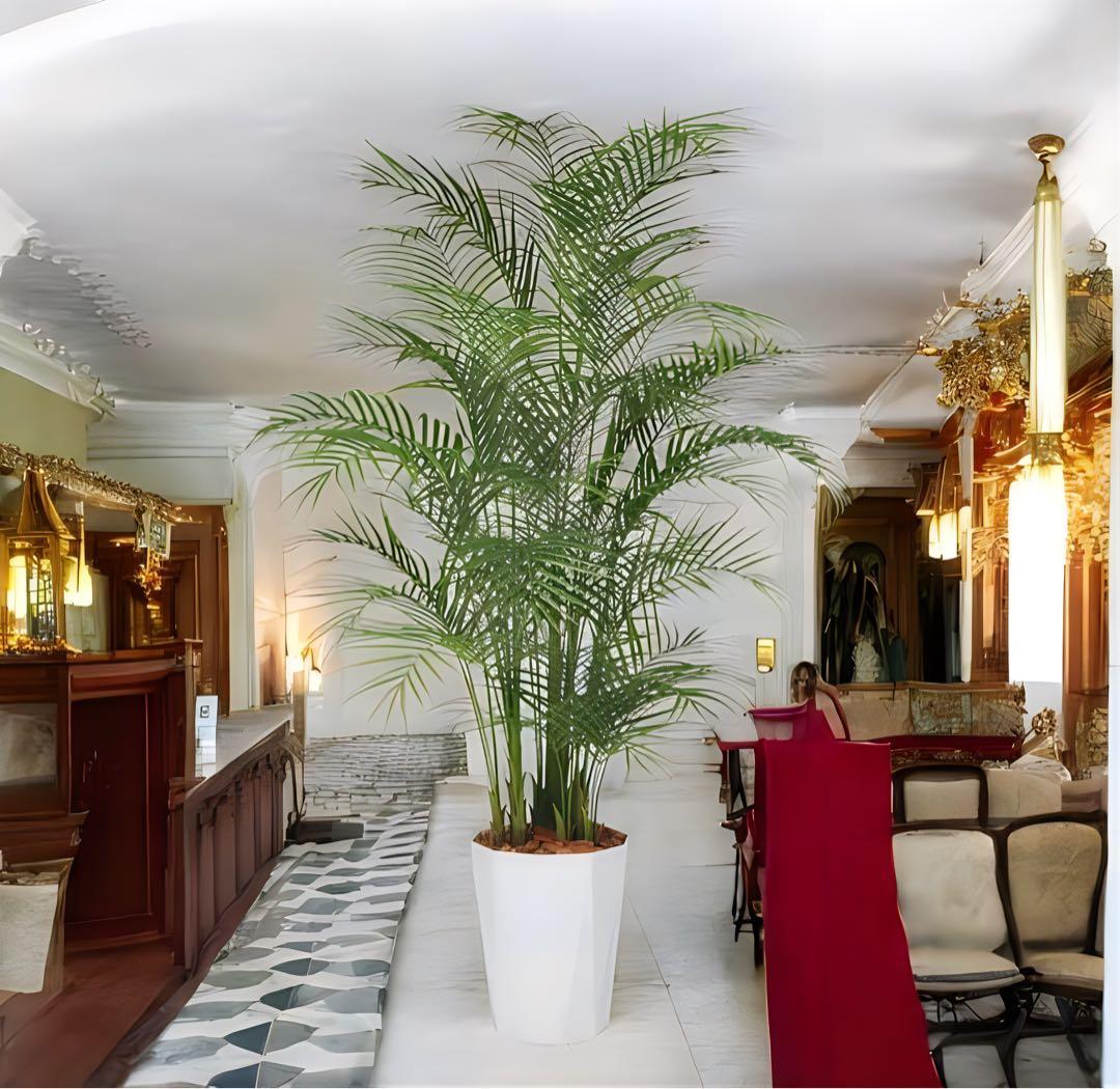 光触媒　人工観葉植物　ウォールグリーン　フェイクグリーン　アレカヤシ220PE