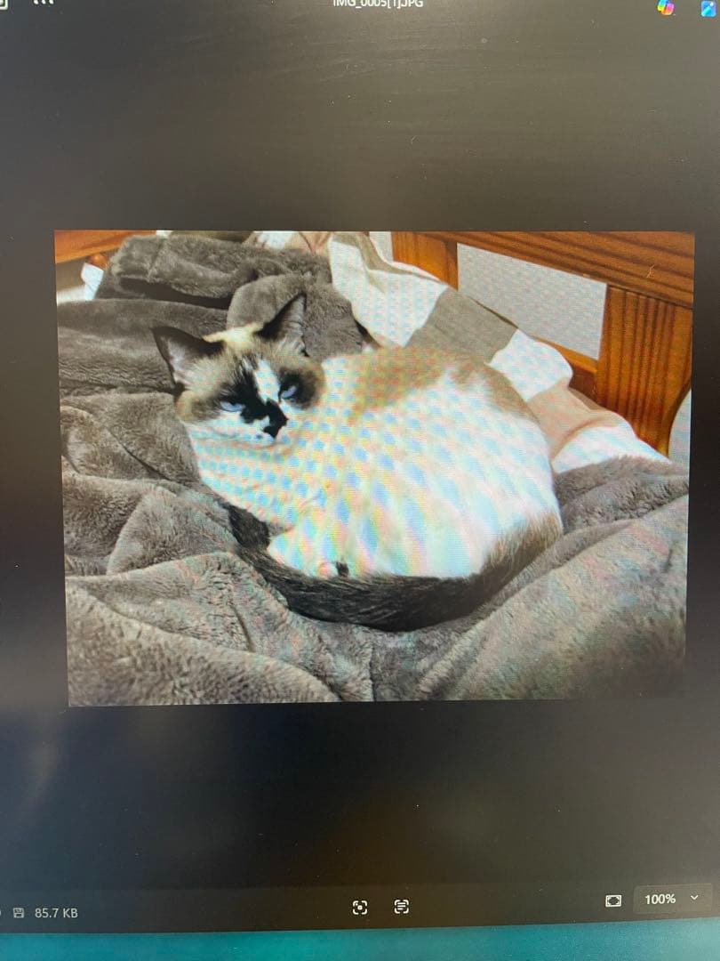 Canon IXY Digital 1000 コンパクトデジタルカメラ動作確認済