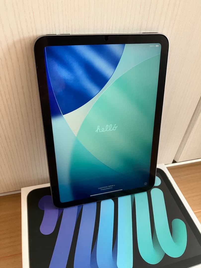 アップル iPad mini (A17pro) Wi-Fi グレイ 128GB