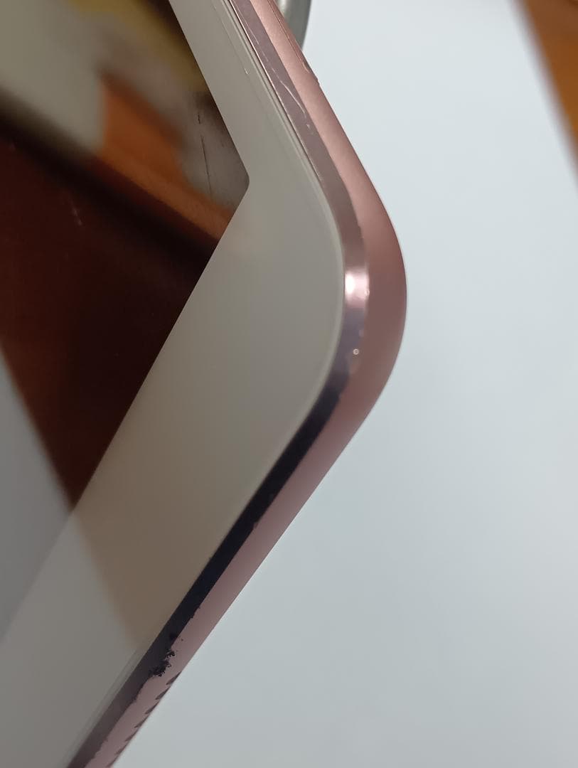 iPad Pro Wi-Fi + Cellular 256GB ローズゴールド