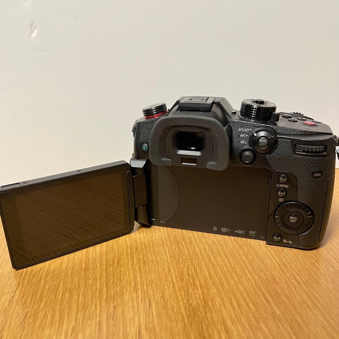 専用　　LUMIX DC-GH5S