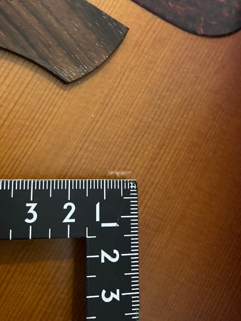 Takamine タカミネ DMP012 SAS 長渕剛