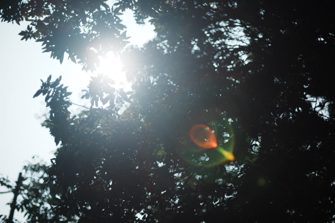 【極美品】ニコン Ai-s Nikkor 50mm F1.4 大口径 583