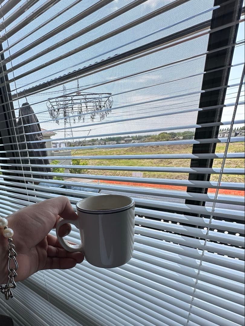 ブラインドカーテン　特注品約170cm x 200cm