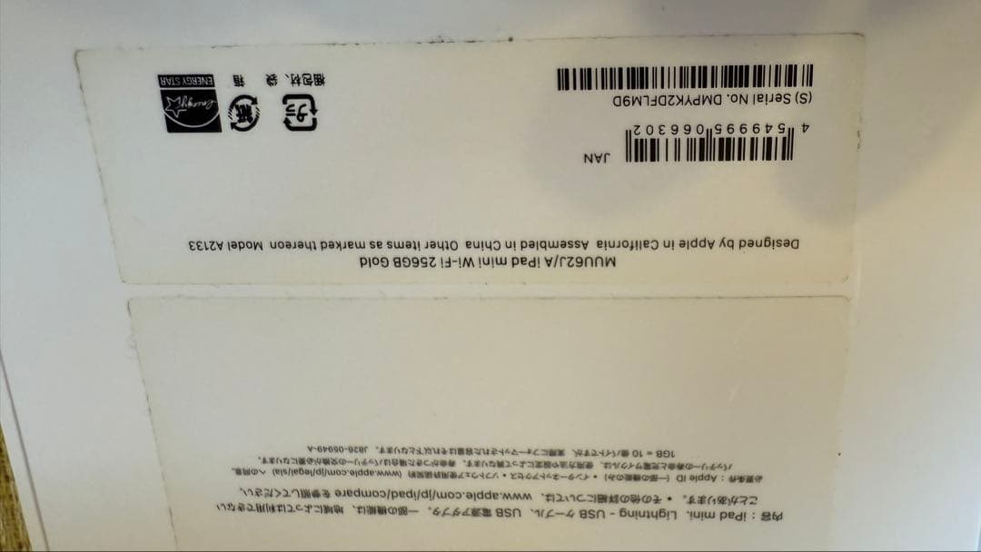 Apple iPad 256GB 5th Gen Gold 本体